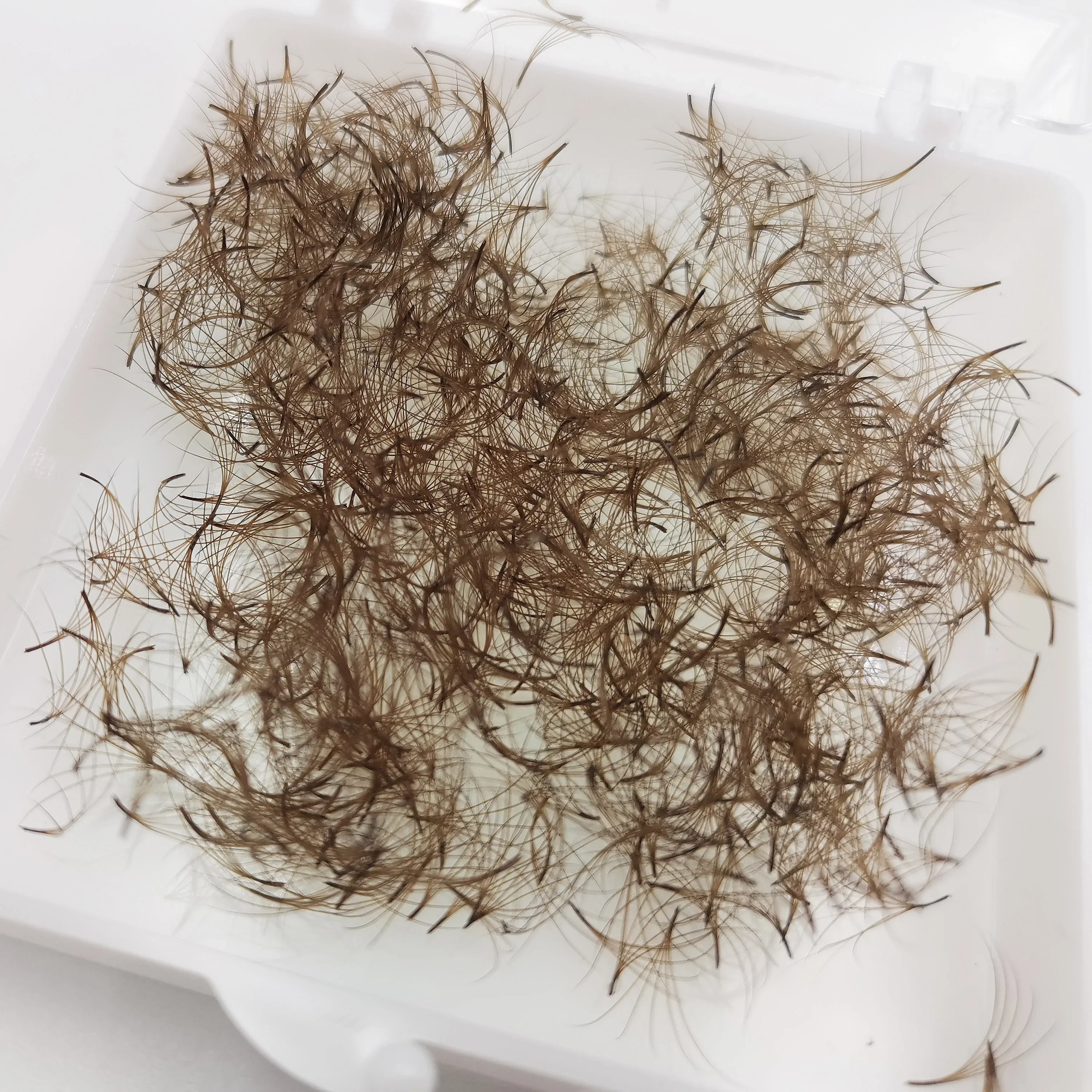 Supmacio Brown Loose Fan Lash  - Eyelash Extension Russian Volume 评论和价格